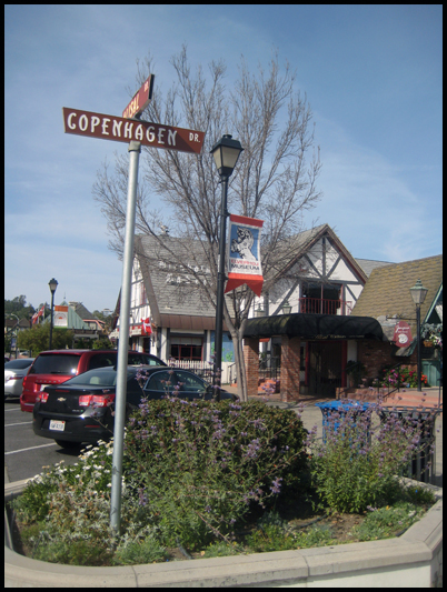 At the corner of Alisai Road & Copenhagen Drive is the wonderful Birkholm's Bakery & Cafe